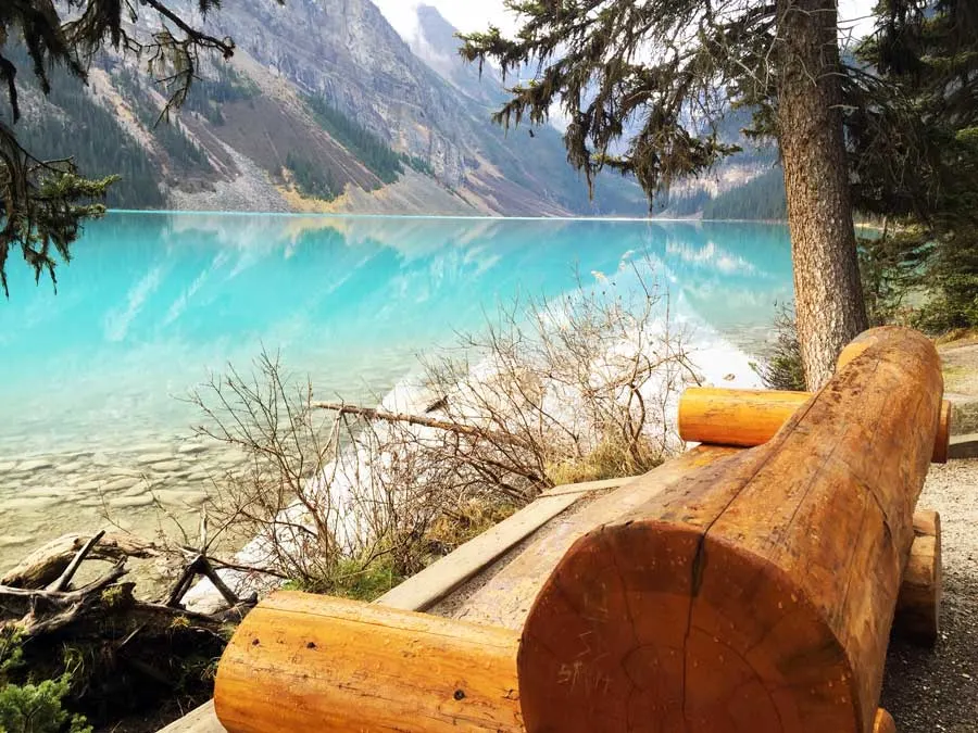 Lake-Louise-Bench