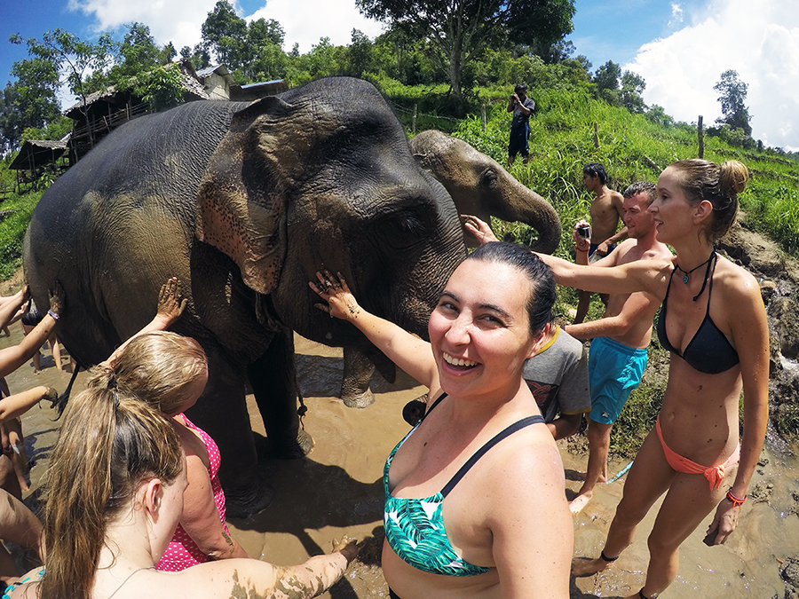 Play with Elephants Chiang Mai www.taylorstracks.com