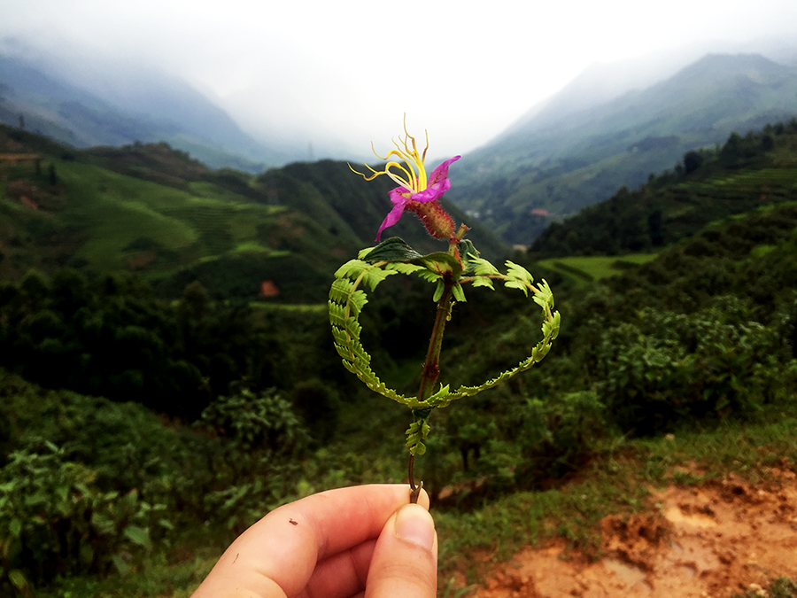 Gift in Sapa Vietnam www.taylorstracks.com