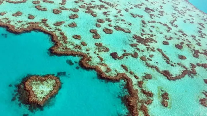 Australia travel | Great Barrier Reef | Heart Reef Australia