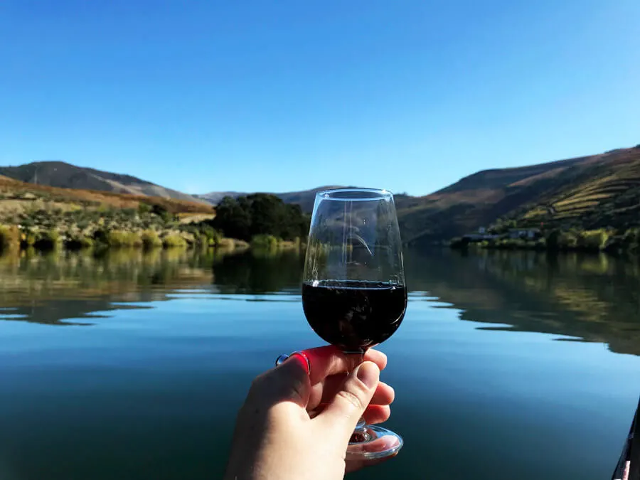 Douro Valley wine tasting | Douro Valley tour | Douro Valley Portugal | Portugal travel | Portugal Porto | Porto day trips | Things to do in Portugal | Things to do in Porto