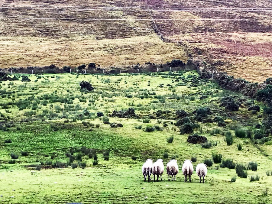 quick trips to ireland