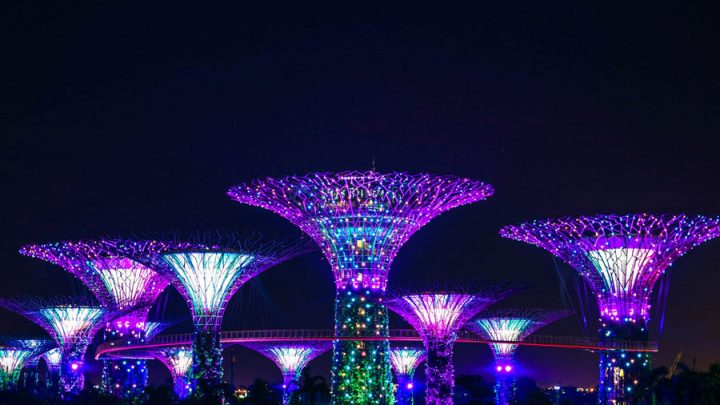 Singapore travel | Singapore itinerary | Singapore travel places | Singapore tips | Things to do in Singapore | Gardens by the Bay Singapore