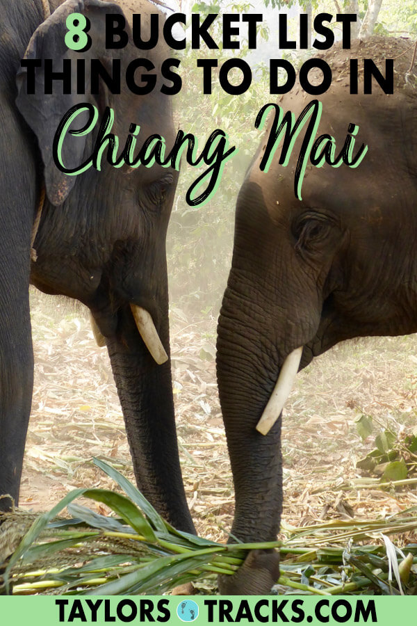 There is so much to know about Thailand travel as there are many destinations. But this list of the best things to do in Chiang Mai will help you plan the perfect Chiang Mai itinerary as a part of your dream Thailand itinerary. This Chiang Mai travel guide will make sure you have the best time. Click to start planning your Chiang Mai trip! #travel #budgettravel #thailand #thai #elephants