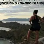 Find the best things to do in Flores Indonesia with this ultimate Flores travel guide that will tell you where to stay in Flores, give you Flores travel tips and more with stops at Komodo National Park, Padar Island, Kelimutu crater lakes! Click to start planning!