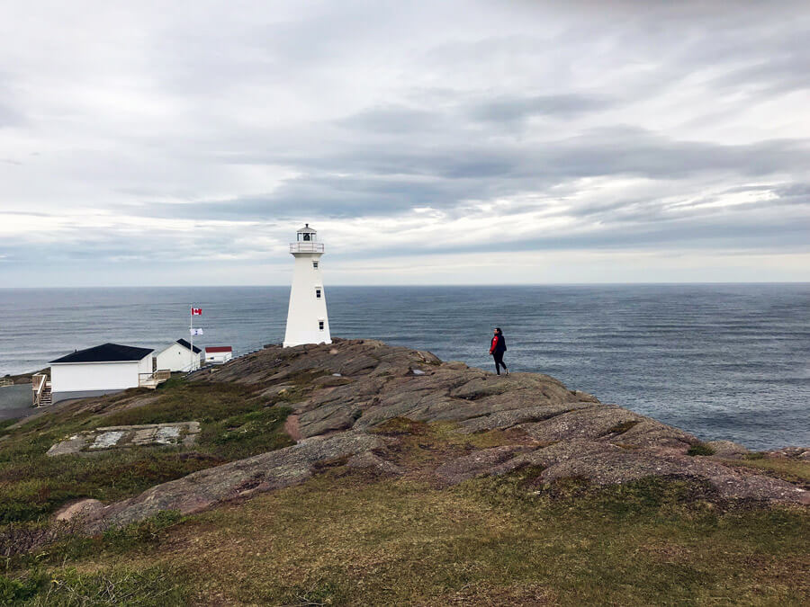 16 of the Best Things to do in St. John's, Newfoundland (Tips + More!) - Taylor's Tracks