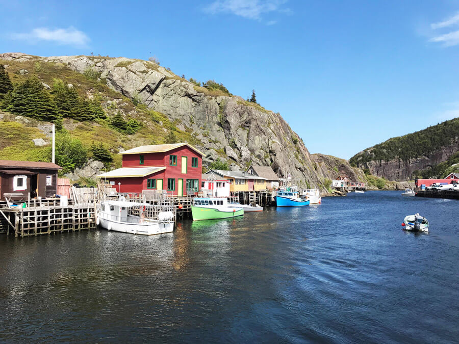 A list of the Top 10 Things to do in Newfoundland, CanadaRead here the  top 10 things to do whilst you ar… - Newfoundland travel, Newfoundland,  Newfoundland canada