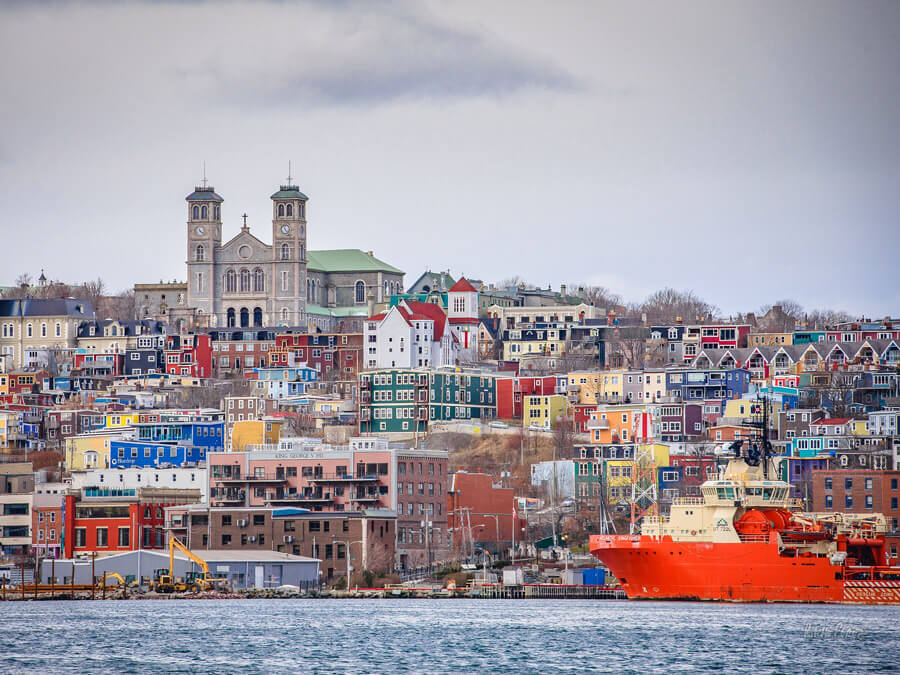 The Rooms in Downtown St. John's - Tours and Activities