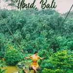 There are so many things to do in Ubud that you'll have no problem filling your time in Bali's top destination. Find all of the top Ubud attractions from Ubud waterfalls to the Ubud market, temples and much more. Visit Ubud and you won't be disappointed that you included it in your Bali itinerary.