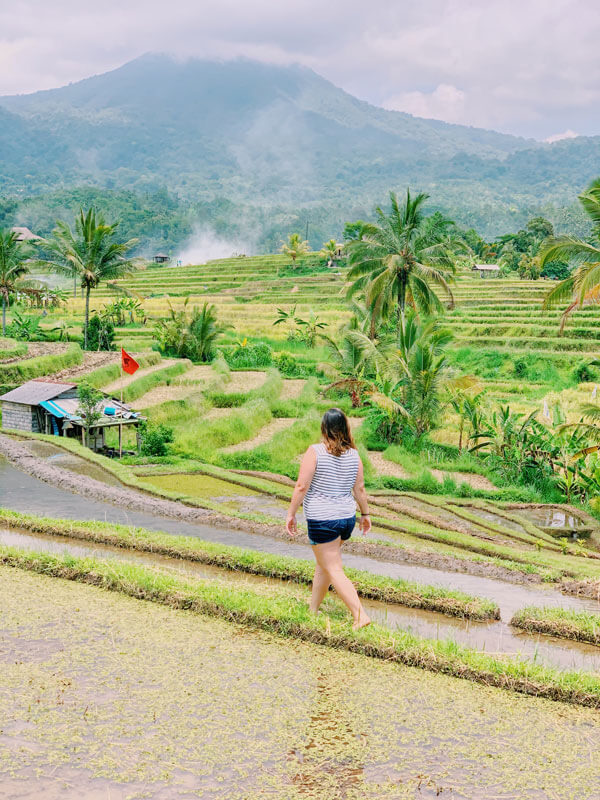 Things to do in Ubud | What to do in Ubud | Top things to do in Ubud | Best things to do in Ubud | Ubud attractions | Ubud sightseeing | Places to visit in Ubud | Tours from Ubud | Best of Ubud | Places to see in Ubud | Where to go in Ubud