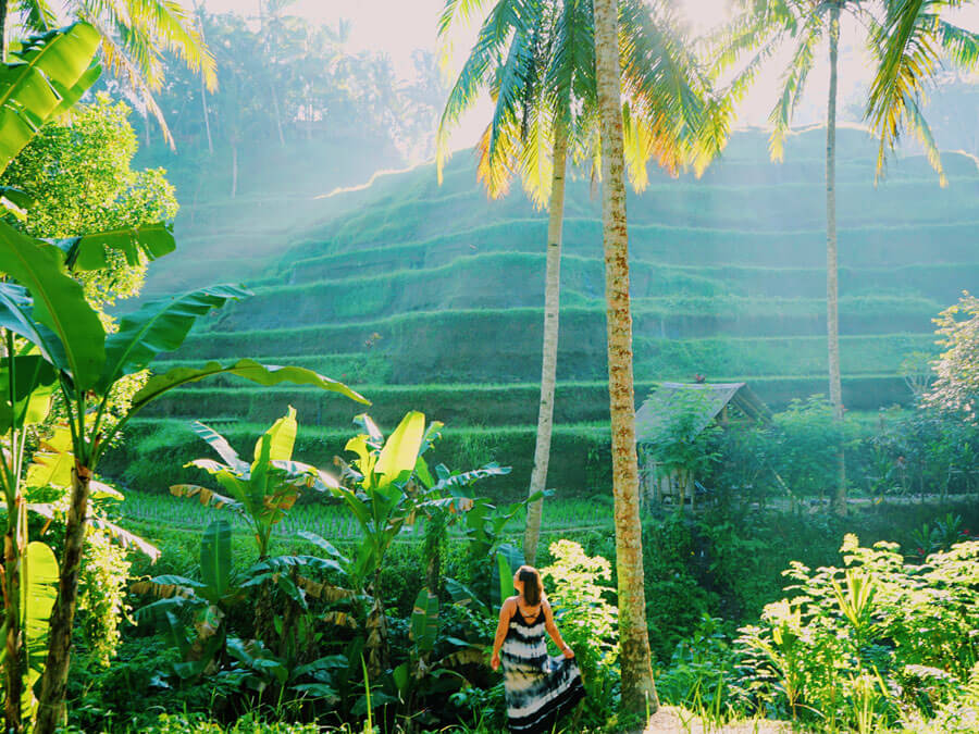 29 Incredible Things to do in Ubud, Bali