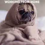Get working from home tips that are actually useful but also super simple to help you keep your sanity while also being productive. These top work from home tips focus on your mental health just as much as they do your efficiency. Click to find out what they are!