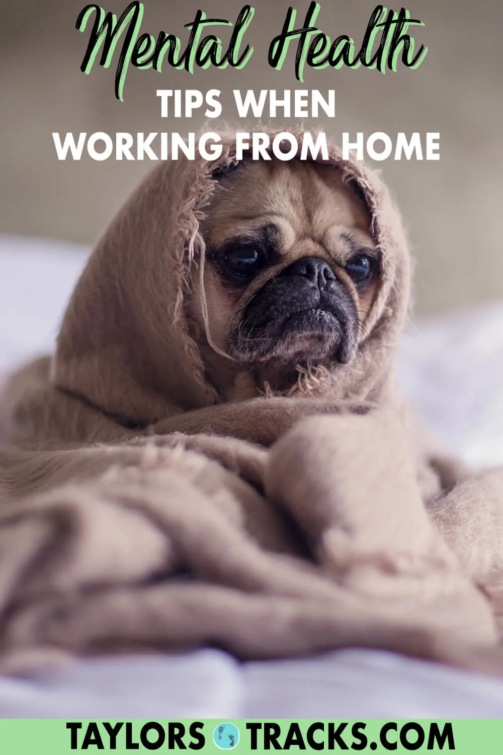 Get working from home tips that are actually useful but also super simple to help you keep your sanity while also being productive. These top work from home tips focus on your mental health just as much as they do your efficiency. Click to find out what they are!