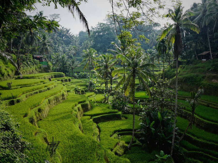 plan your trip in bali
