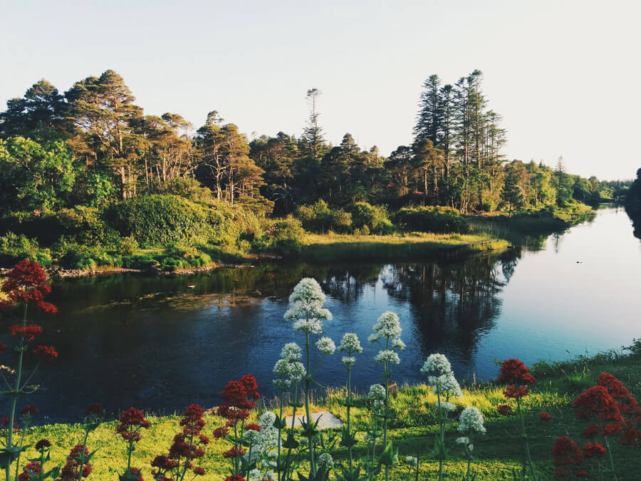 10 Best Yoga Retreats in Ireland Taylor's Tracks