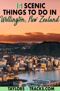 Make your trip to Wellington, New Zealand unforgettable. From the top Wellington activities to the must-see Wellington attractions, this Wellington travel guide covers it all, including the best day trips, for all types of travellers. Click to find the best things to do in Wellington!