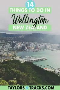Make your trip to Wellington, New Zealand unforgettable. From the top Wellington activities to the must-see Wellington attractions, this Wellington travel guide covers it all, including the best day trips, for all types of travellers. Click to find the best things to do in Wellington!