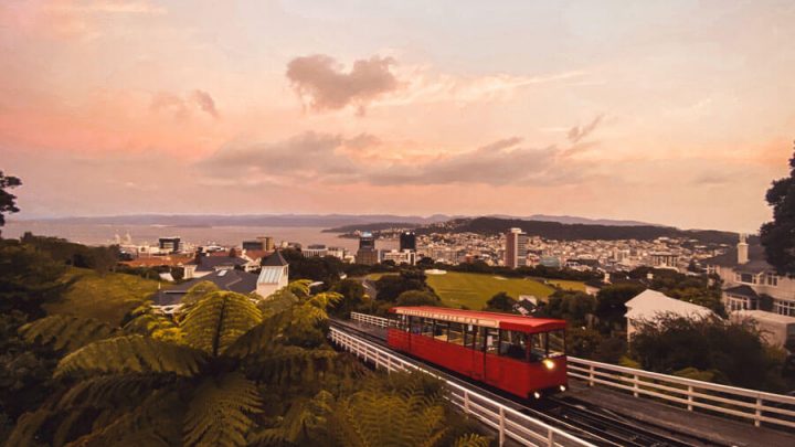14 Scenic Things to do in Wellington, New Zealand