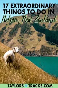 Nelson, New Zealand is worthy of a stop on any New Zealand itinerary for its scenic views, hiking, local drinks including wine, beer and cider, the national parks and its art scene! From the top Nelson activities and attractions for adventurers and tourists, this Nelson travel guide has got you covered. Click to find the best things to do in Nelson!