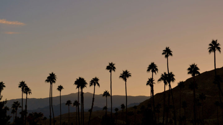 Where to Stay in Palm Springs: Best Areas & Hotels!