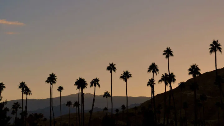 Where to stay in Palm Springs