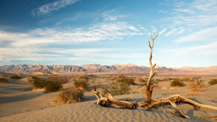 Death Valley National Park Travel Guide: Everything You Need to Know