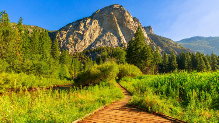 Sequoia and Kings Canyon National Park Travel Guide