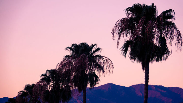 12 Fabulous Things to Do in Palm Springs, California